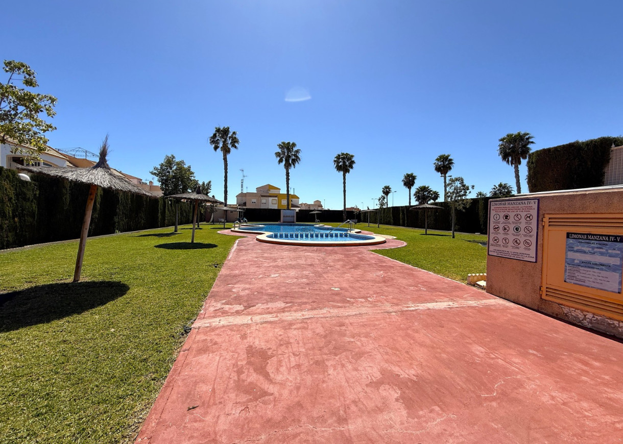 Long time Rental - Apartment - Torrevieja - Torretas