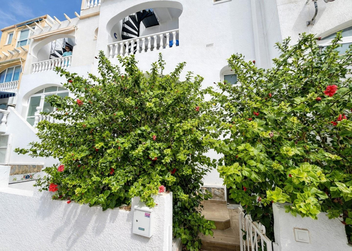 Venta - Apartamento - San Miguel de Salinas - Las filipinas