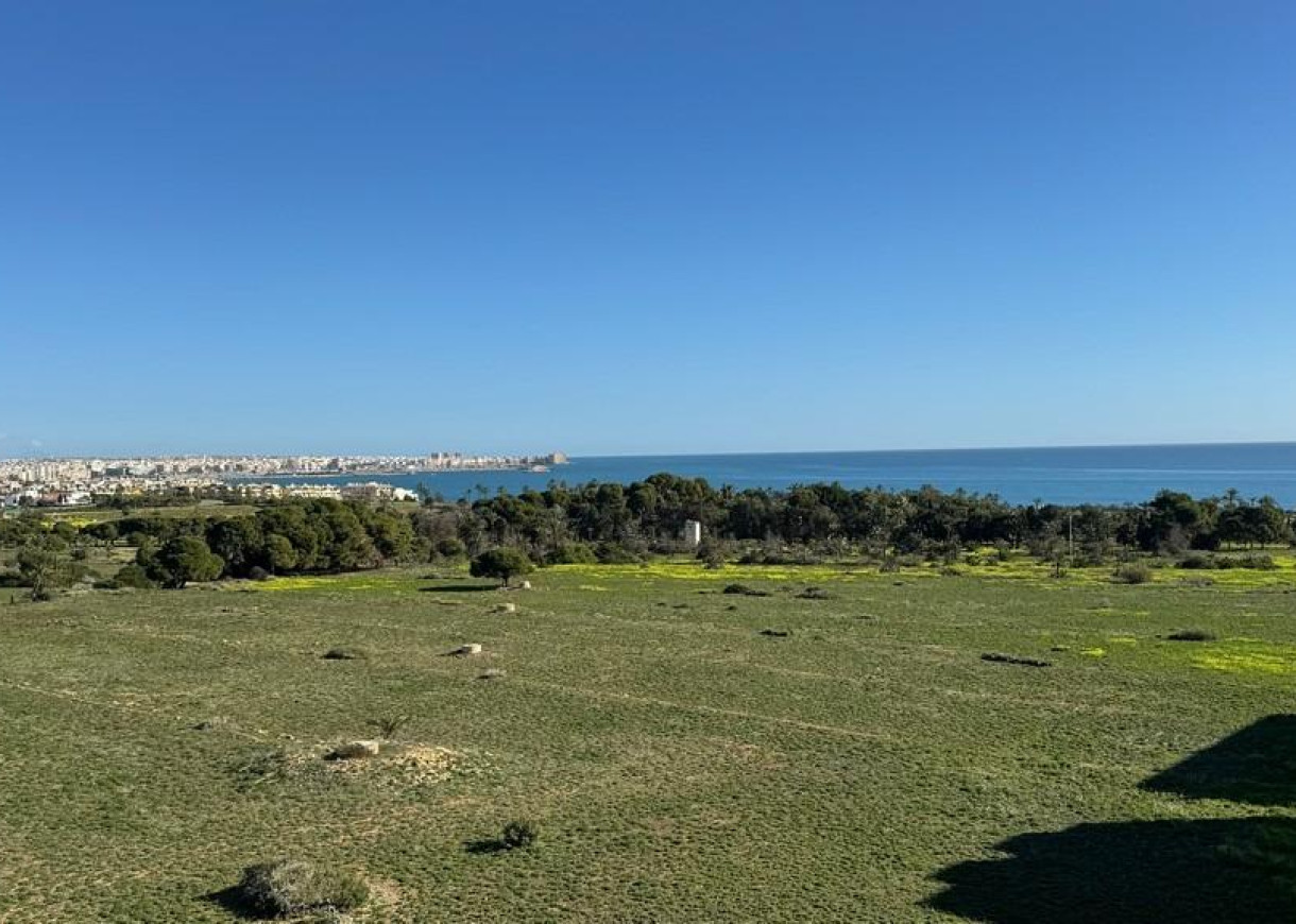 Resale - Apartment - Torrevieja - Punta prima