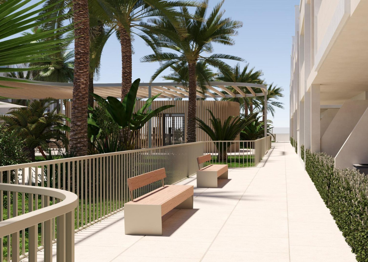 New Build - Lägenhet - Torre Pacheco - San Cayetano