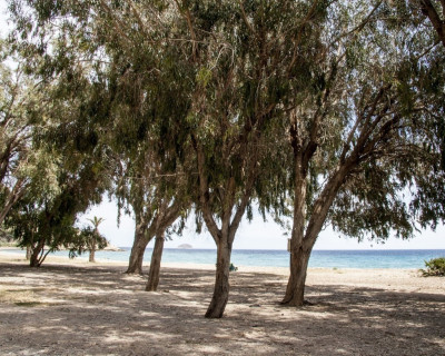 New Build - Apartment - Villajoyosa - Playa Les Torres