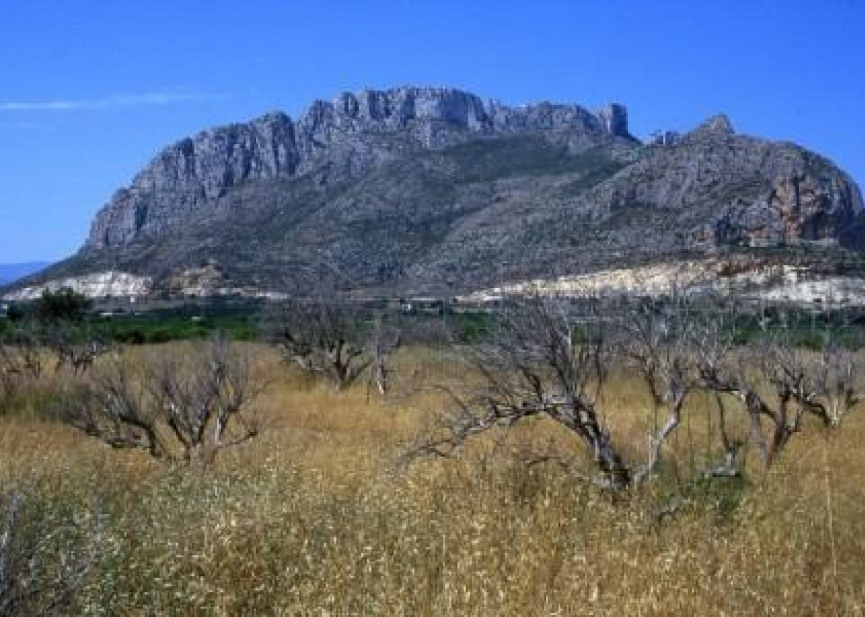 New Build - Penthouse - El Verger