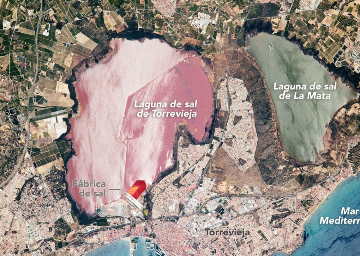 Venta - Apartamento - Torrevieja - Torreblanca