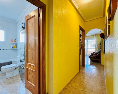 Resale - Apartment - La Mata - Torrevista Playa