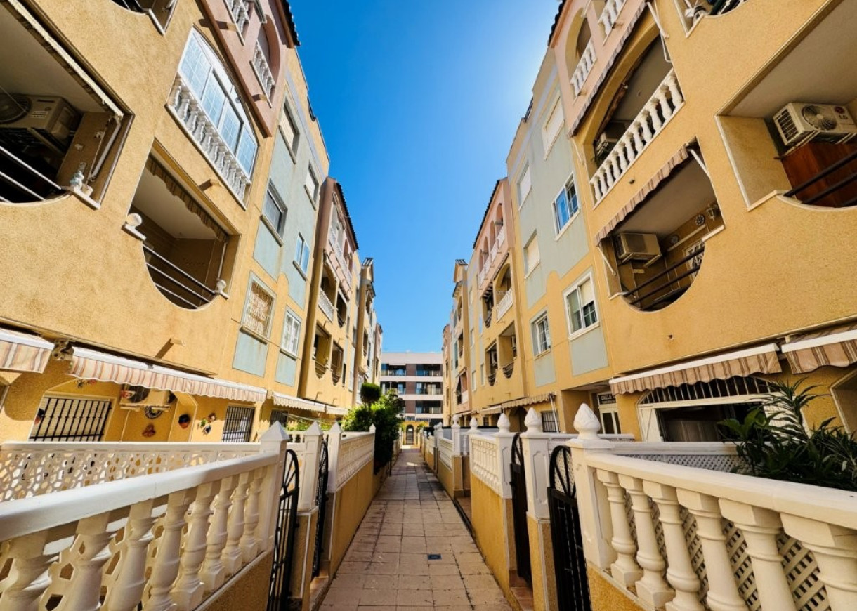 Resale - Apartment - La Mata - Torrevista Playa