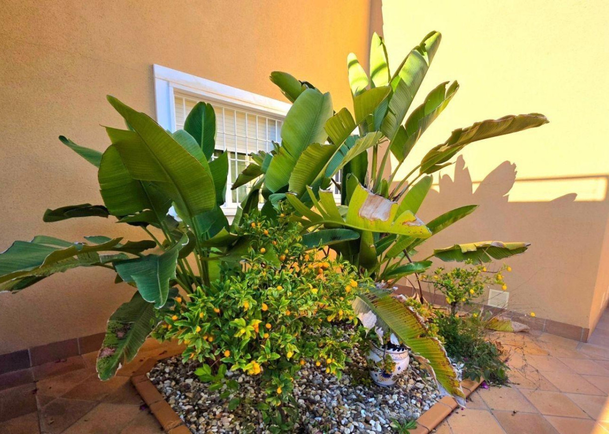 Resale - Villa - Dehesa de campoamor - Campoamor