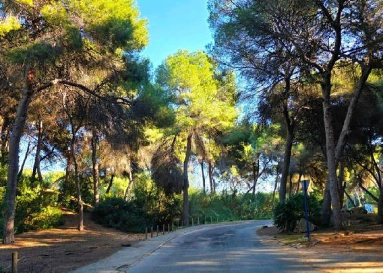 Resale - Villa - Dehesa de campoamor - Campoamor