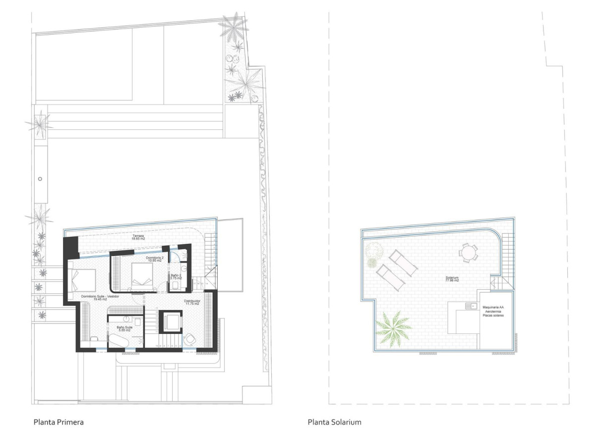 New Build - Villa - Cabo de Palos - Cala Flores
