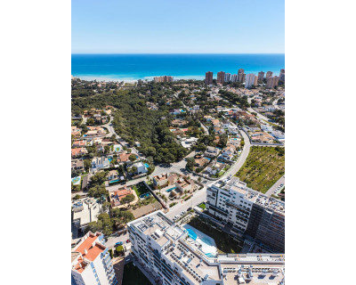New Build - Villa - Orihuela Costa - Dehesa de campoamor