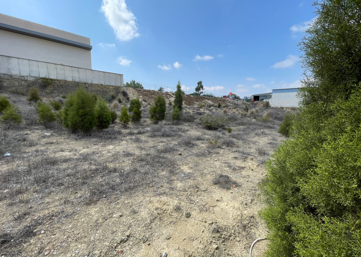 Venta - Parcela/Terreno - Rojales