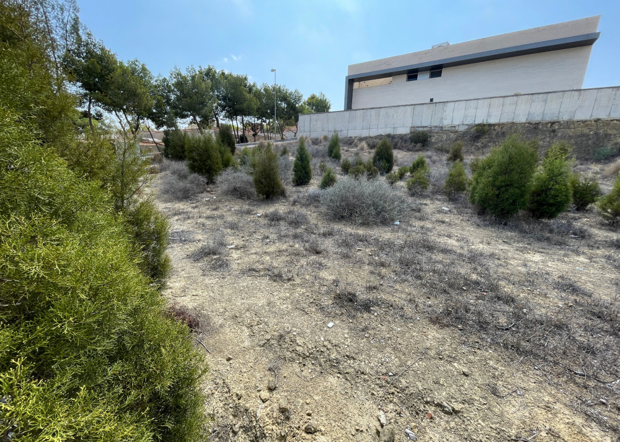 Venta - Parcela/Terreno - Rojales