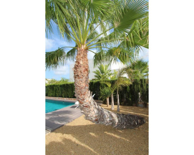 Resale - Villa - Rojales - Ciudad Quesada