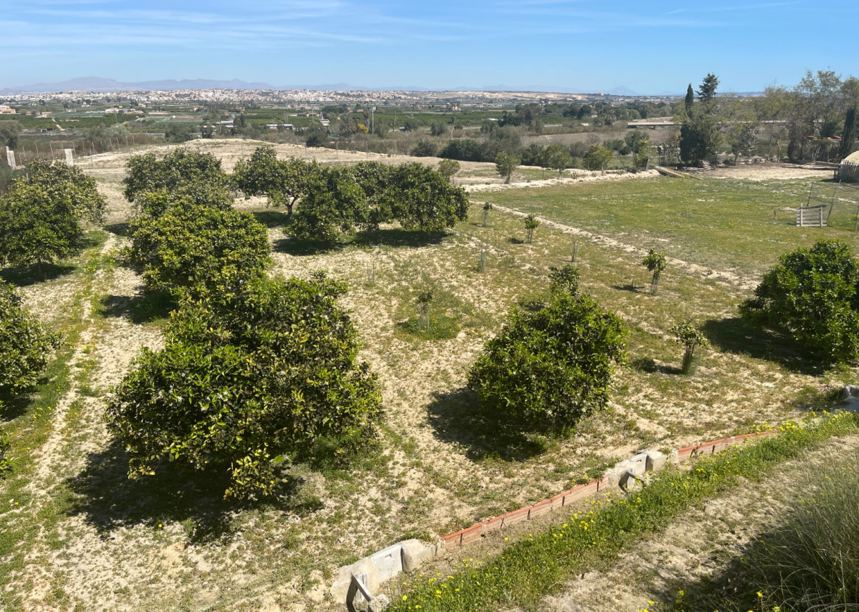 Resale - Villa - Guardamar del Segura - Valencian Community