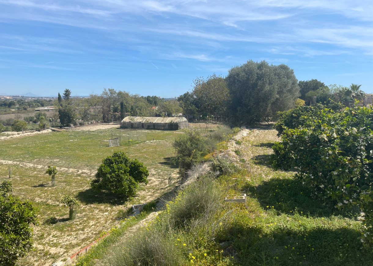 Resale - Villa - Guardamar del Segura - Valencian Community