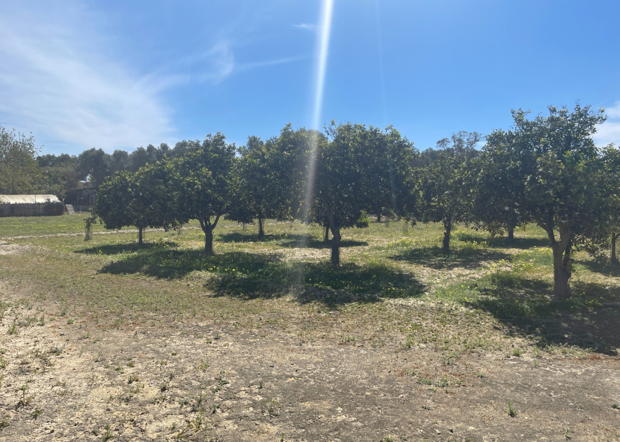 Resale - Villa - Guardamar del Segura - Valencian Community