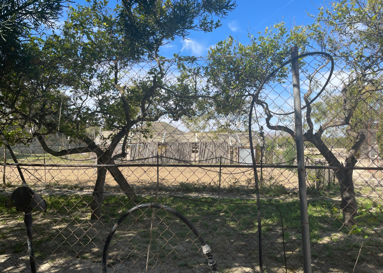 Resale - Villa - Guardamar del Segura - Valencian Community
