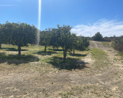 Resale - Villa - Guardamar del Segura - Valencian Community