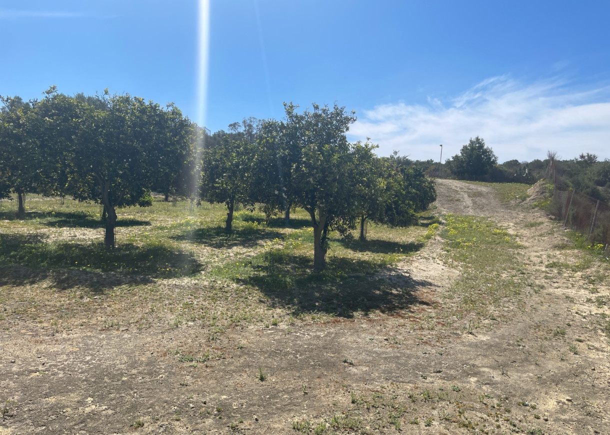 Resale - Villa - Guardamar del Segura - Valencian Community