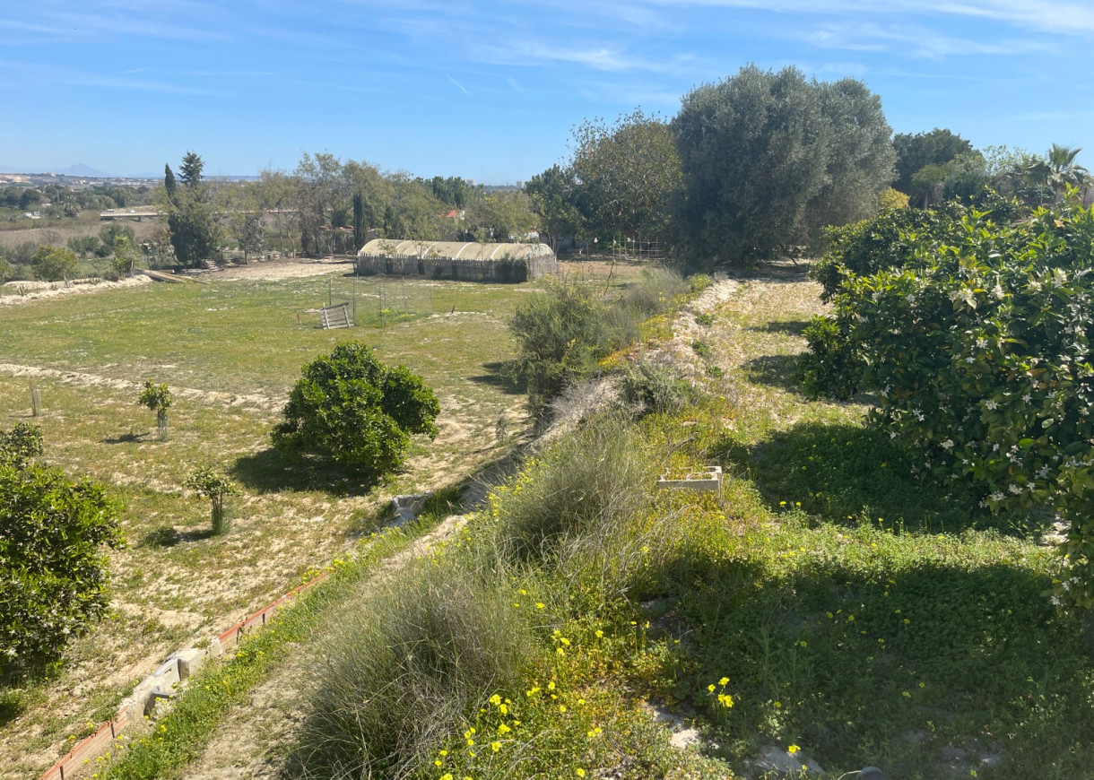 Resale - Villa - Guardamar del Segura - Valencian Community