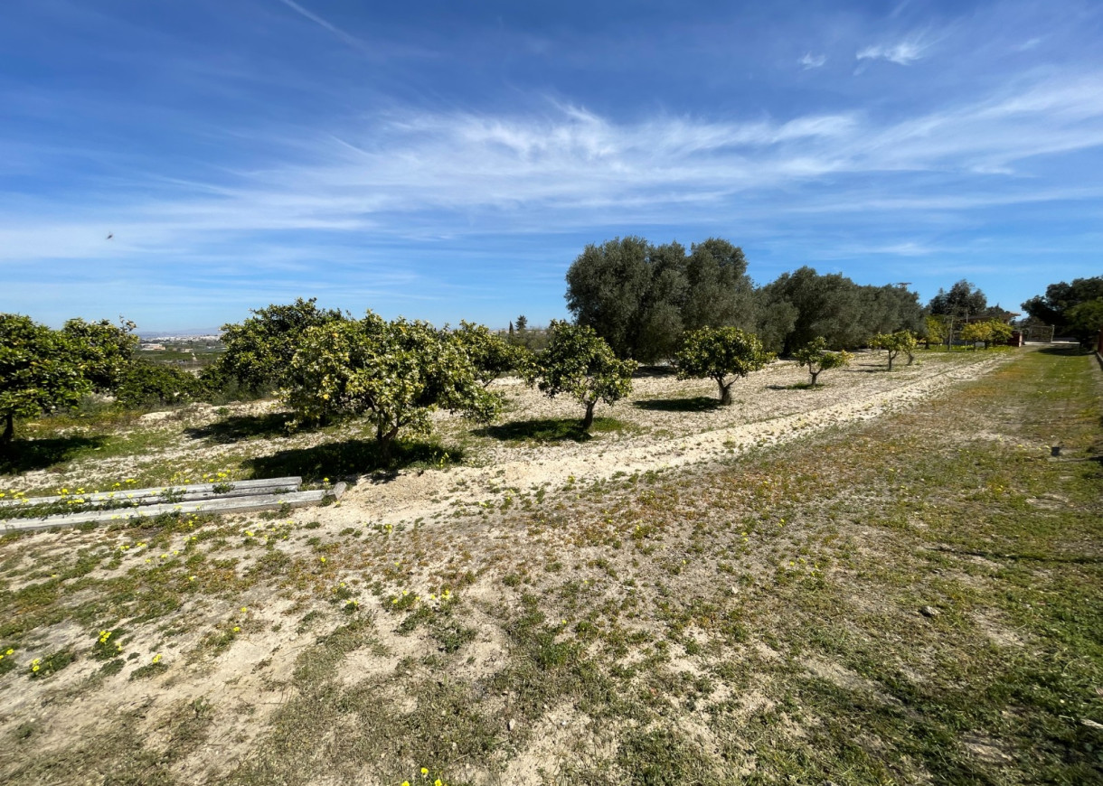 Resale - Villa - Guardamar del Segura - Valencian Community