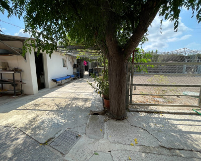 Resale - Villa - San Fulgencio - La Marina
