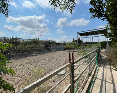 Resale - Villa - San Fulgencio - La Marina