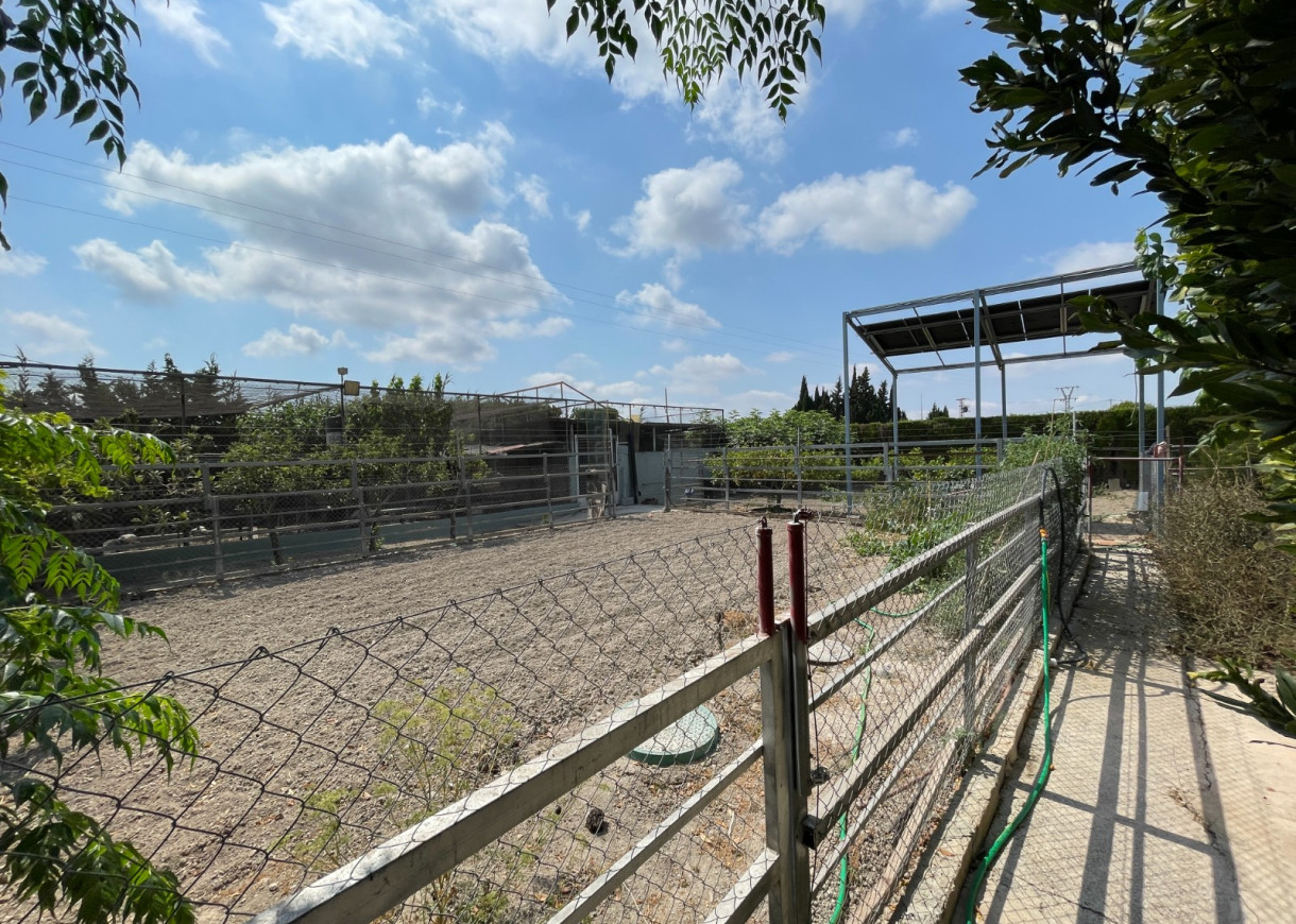 Resale - Villa - San Fulgencio - La Marina