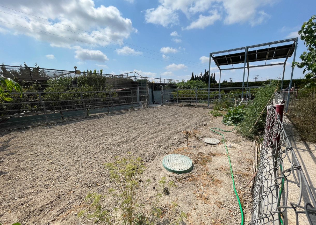 Resale - Villa - San Fulgencio - La Marina