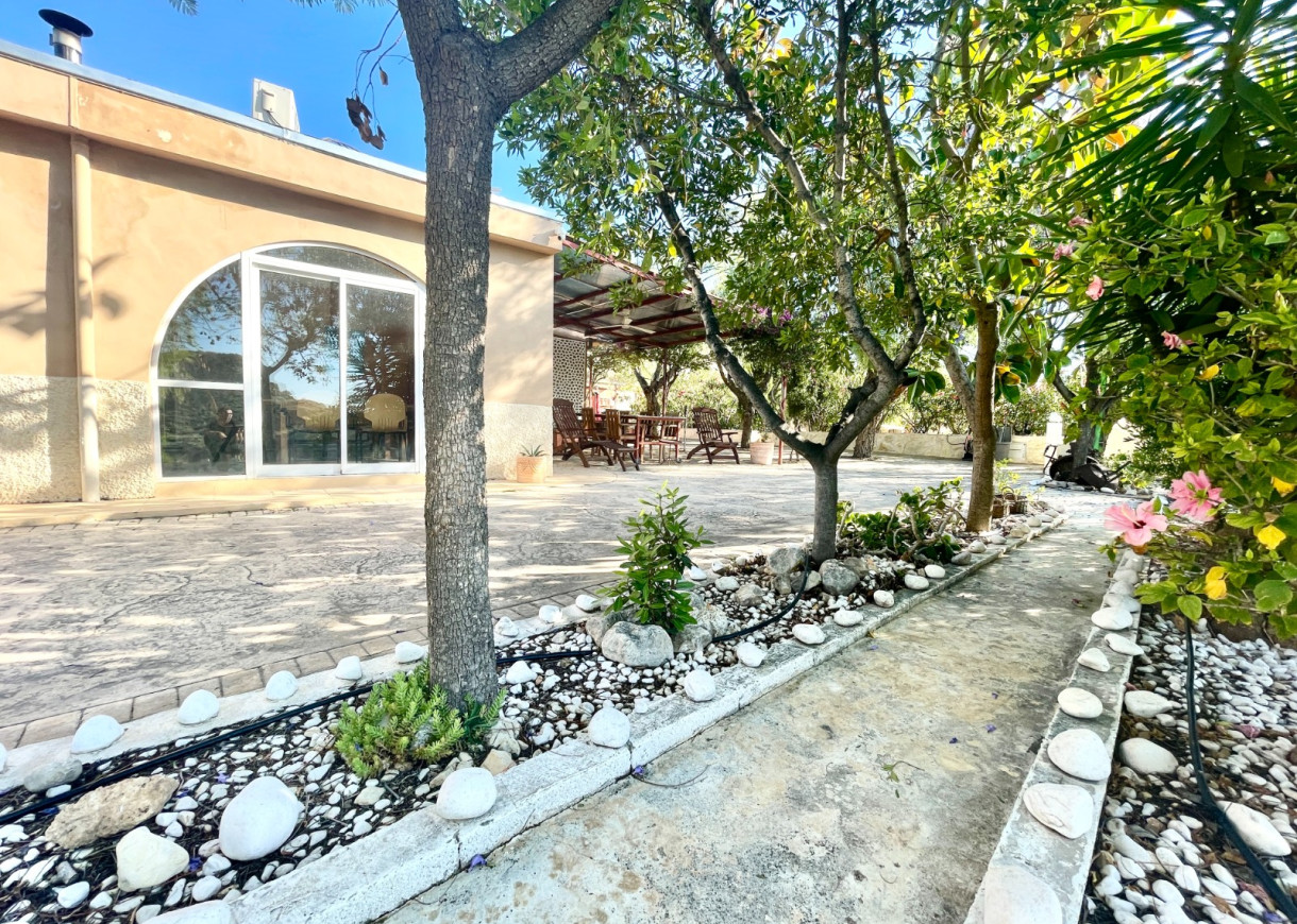 Resale - Finca / Country Property - Crevillente