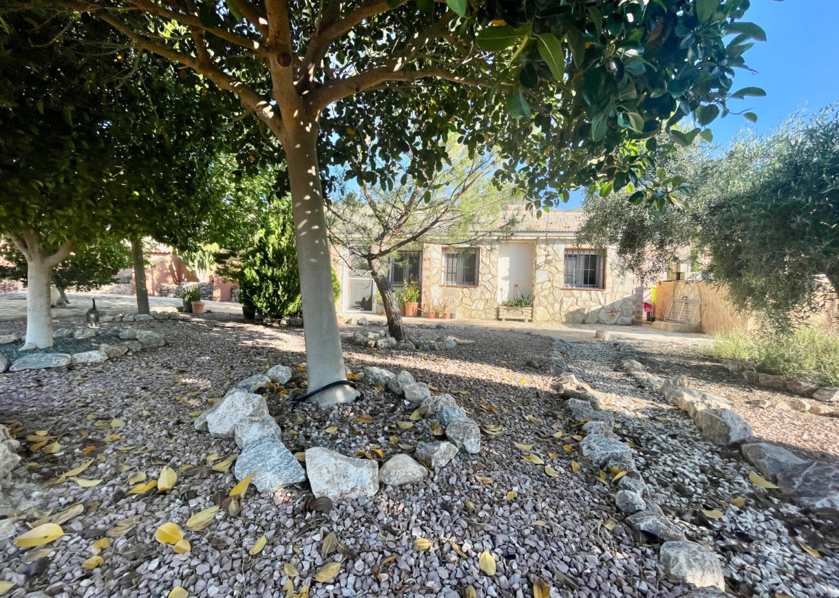 Resale - Finca / Country Property - Crevillente