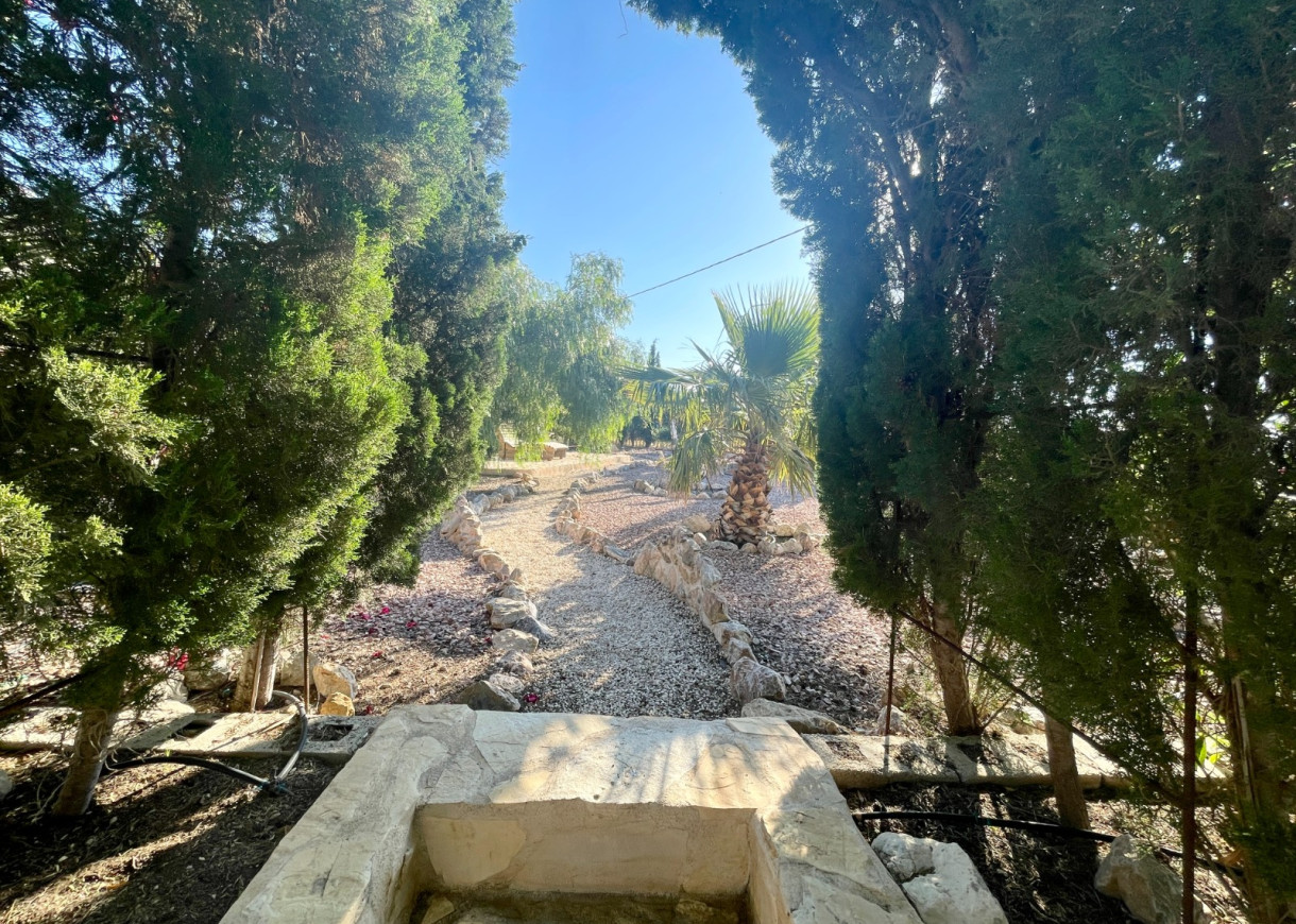 Resale - Finca / Country Property - Crevillente