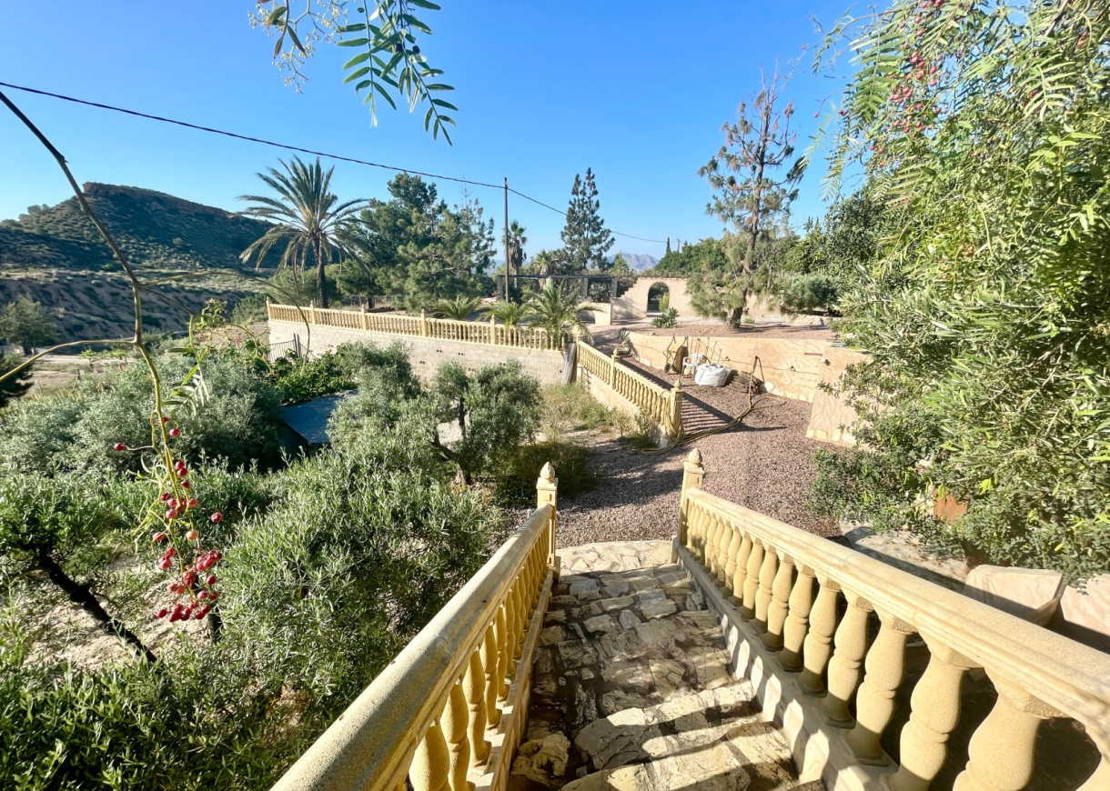 Resale - Finca / Country Property - Crevillente