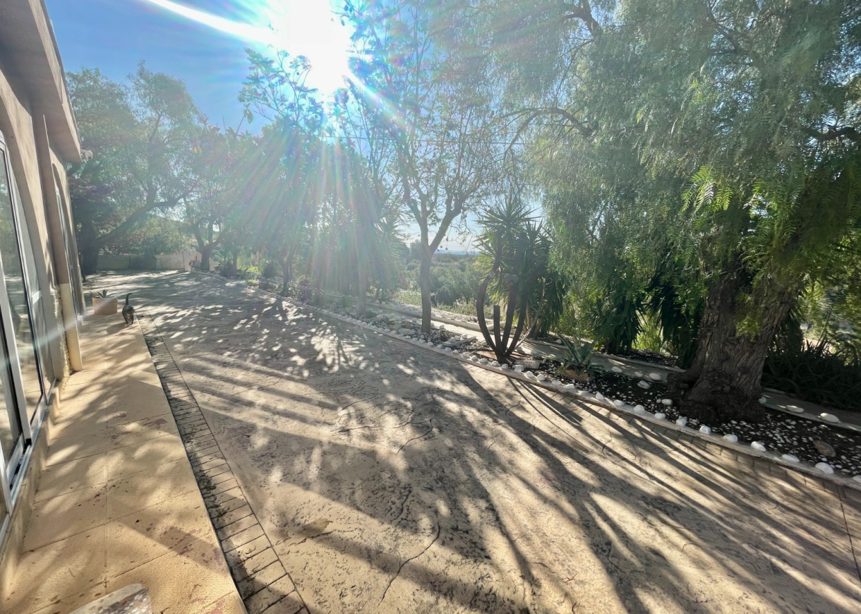 Resale - Finca / Country Property - Crevillente