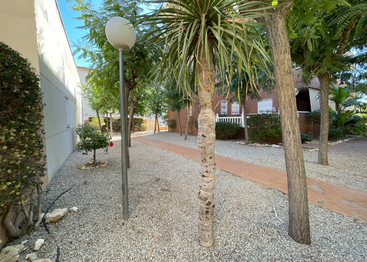 Resale - Townhouse - Elche - Center