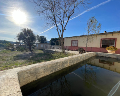 Venta - Finca / Country Property - Aspe