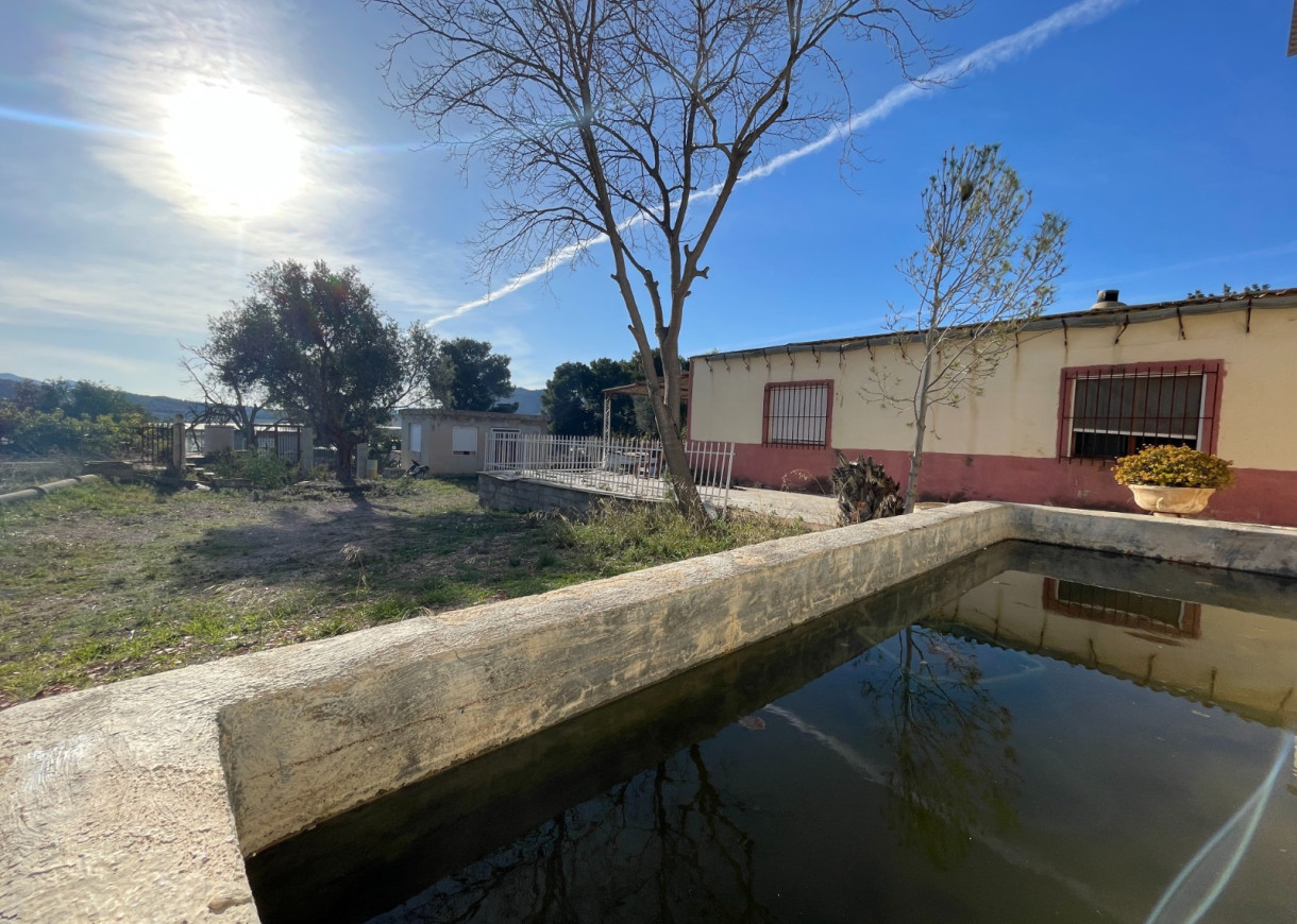 Venta - Finca / Country Property - Aspe