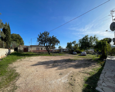 Venta - Finca / Country Property - Aspe