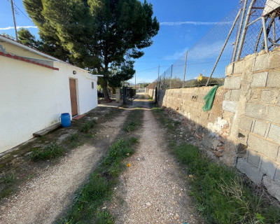 Venta - Finca / Country Property - Aspe
