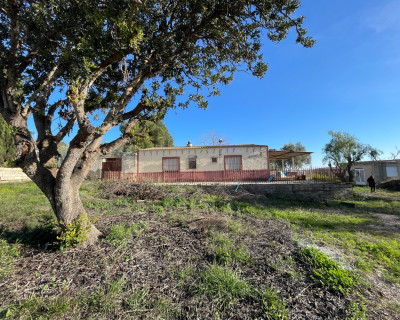 Venta - Finca / Country Property - Aspe