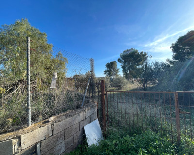 Venta - Finca / Country Property - Aspe