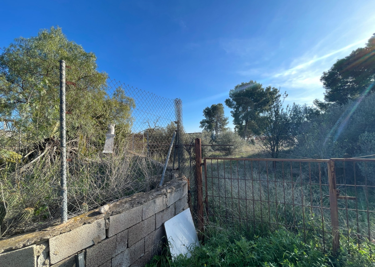 Venta - Finca / Country Property - Aspe