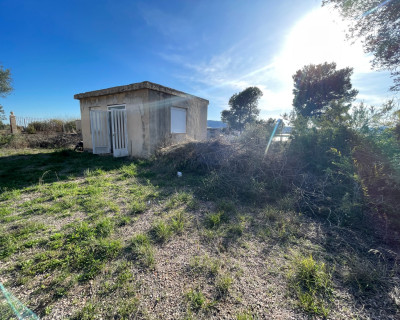 Venta - Finca / Country Property - Aspe