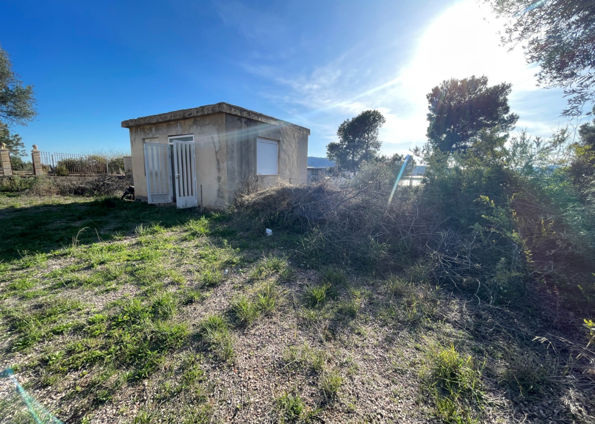 Venta - Finca / Country Property - Aspe