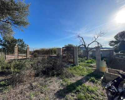 Venta - Finca / Country Property - Aspe