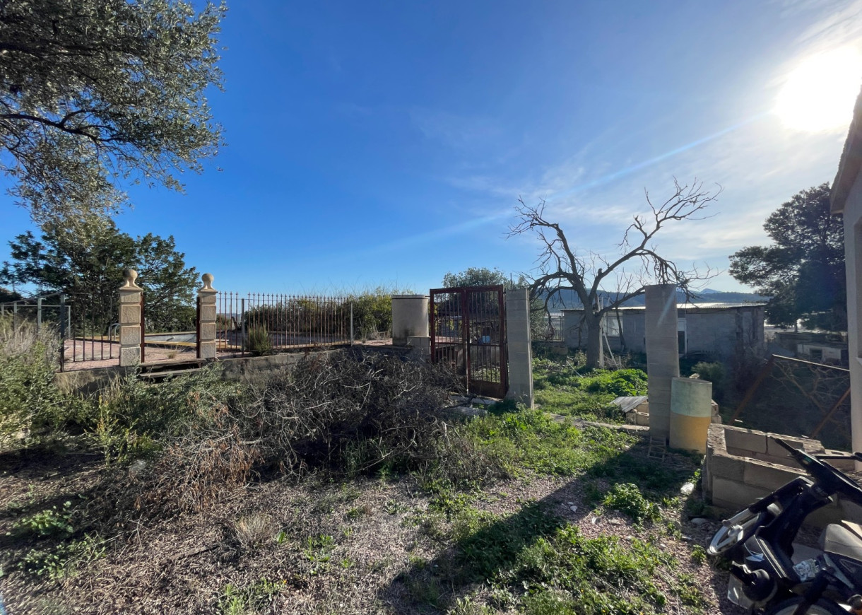 Venta - Finca / Country Property - Aspe
