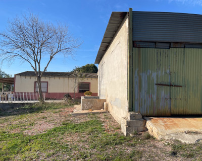 Venta - Finca / Country Property - Aspe