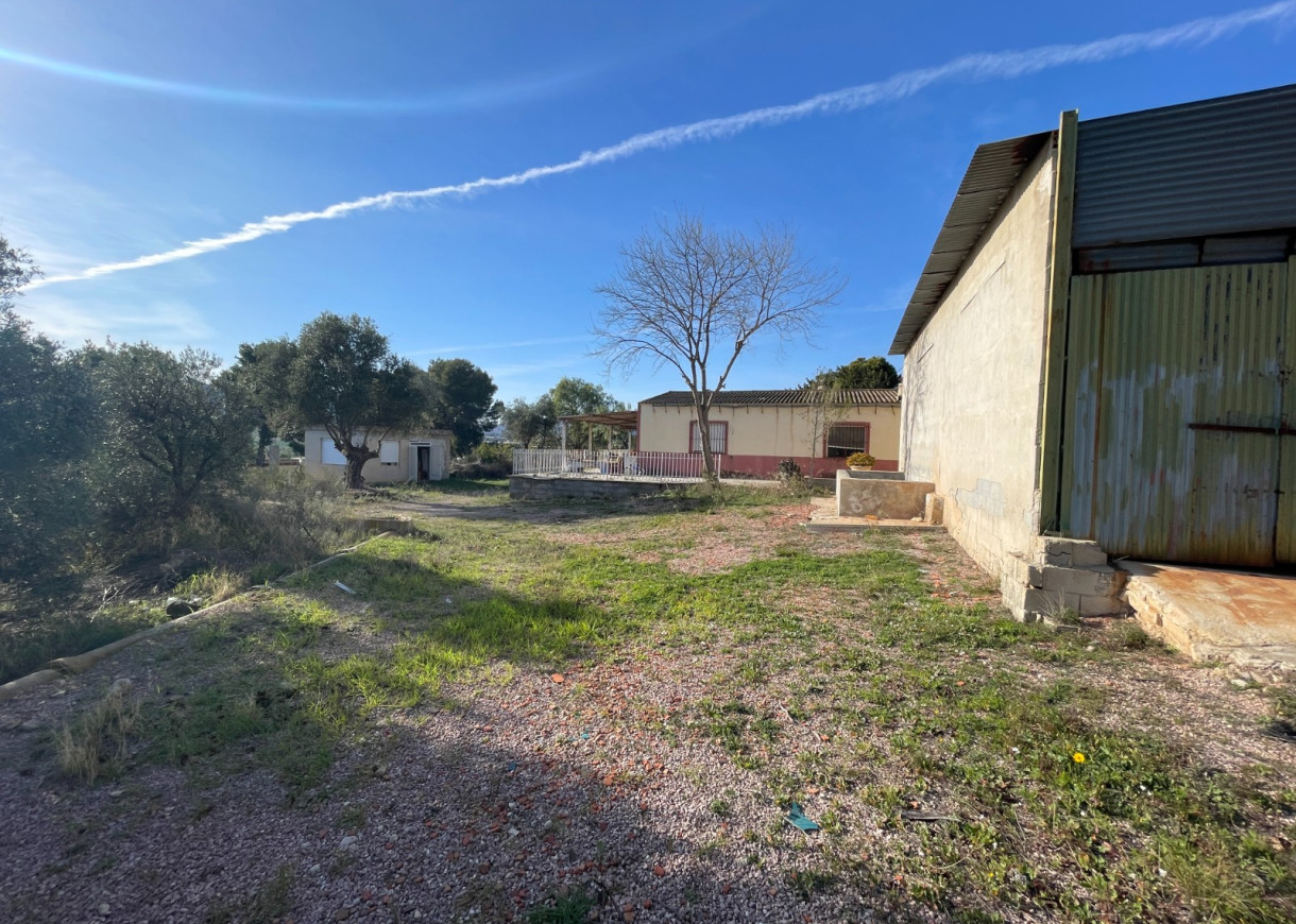 Venta - Finca / Country Property - Aspe