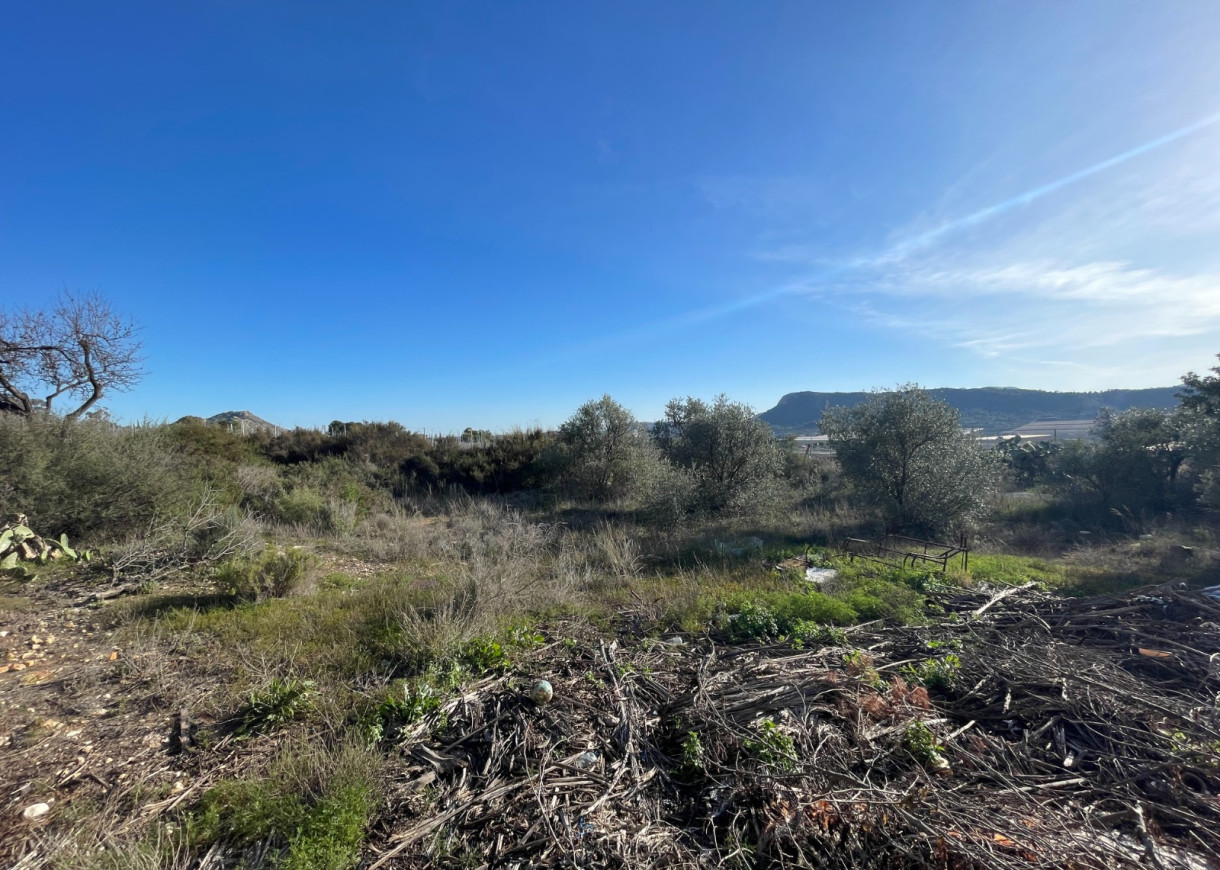 Venta - Finca / Country Property - Aspe