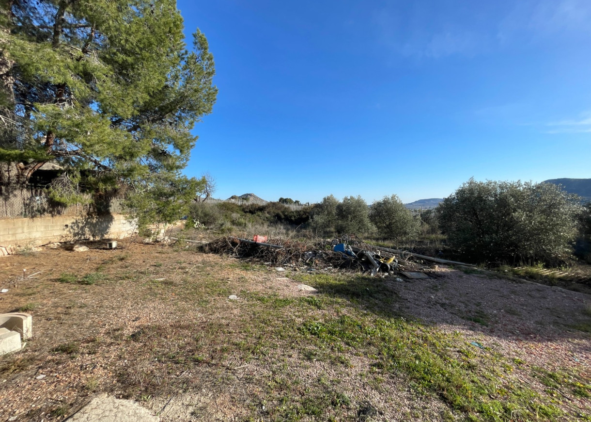 Venta - Finca / Country Property - Aspe