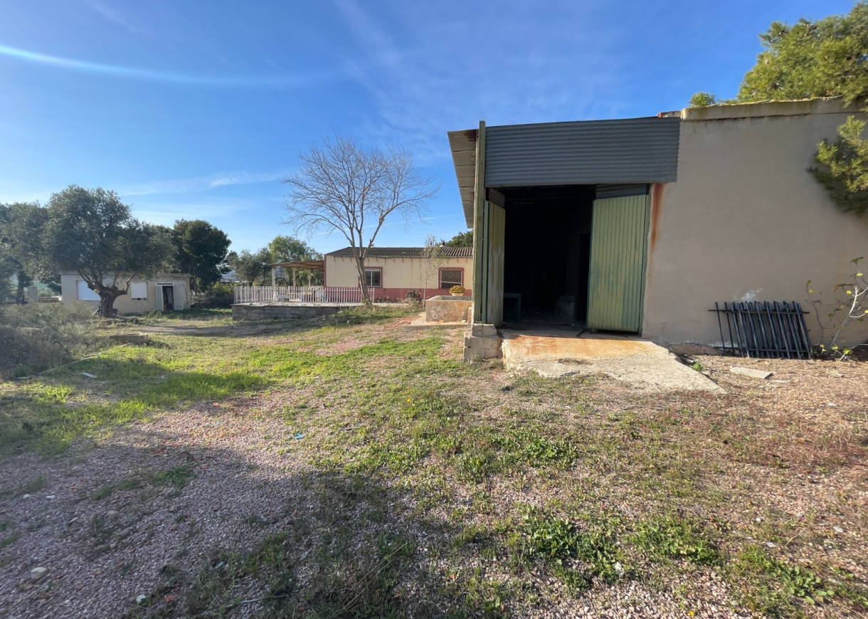 Venta - Finca / Country Property - Aspe